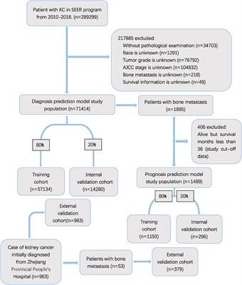 Bone metastasis risk and prognosis assessment models - Frontiers